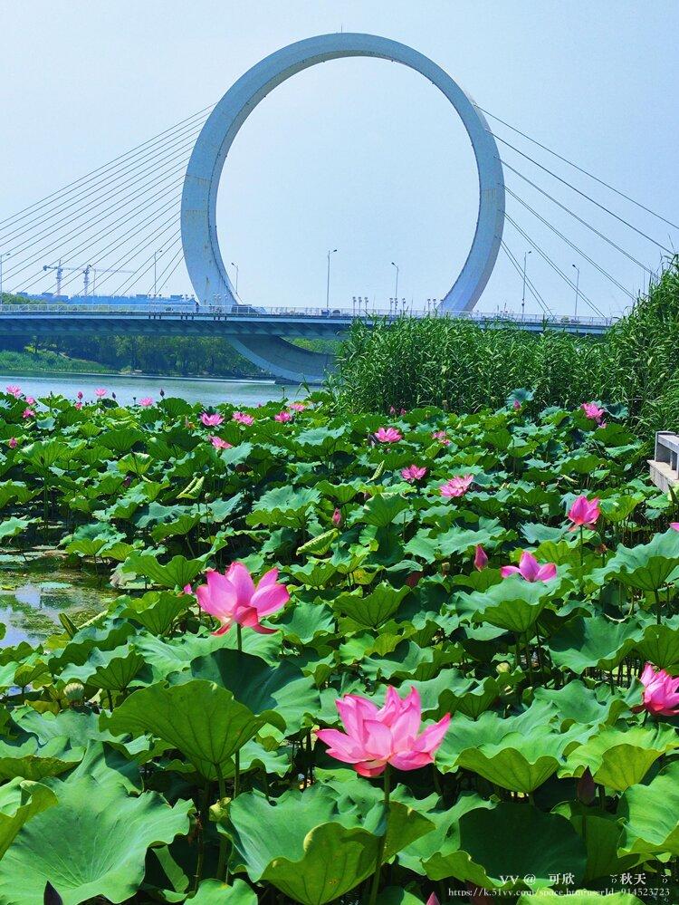  可欣🔥  ࿐ོ秋天࿐ོ