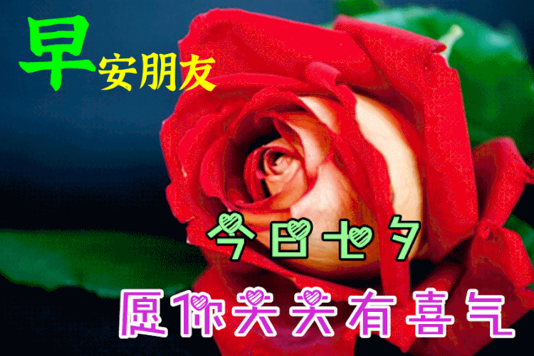 乐享人生