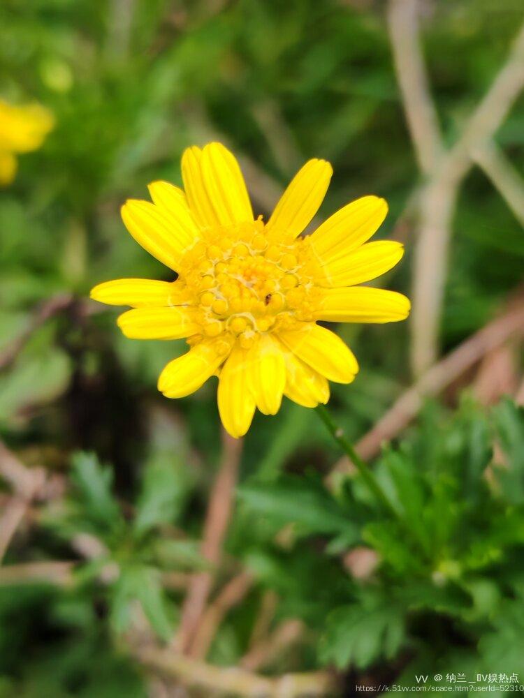 纳兰＿🎤V娱热点