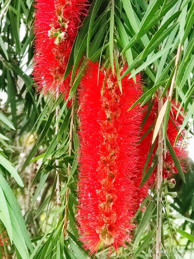 春风〔文声汇影〕