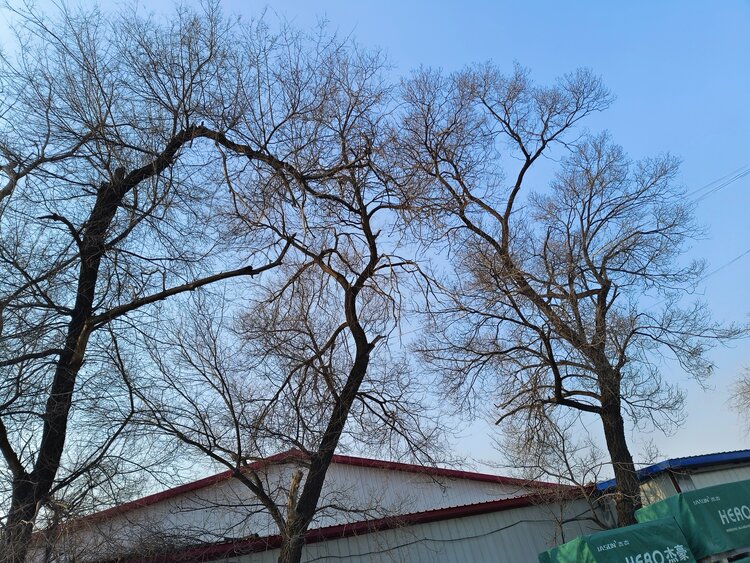 雪儿🎤V娱热点