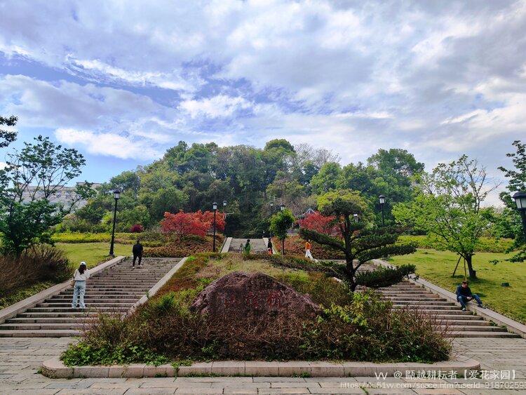 甌越耕耘者【爱花家园】