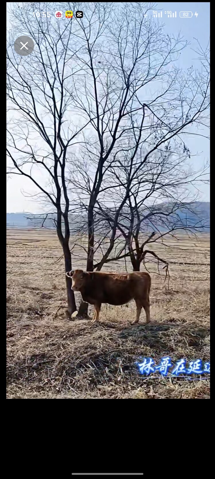 海阔天空  【文声汇影】