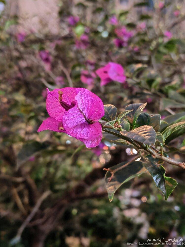 纳兰＿🎤V娱热点