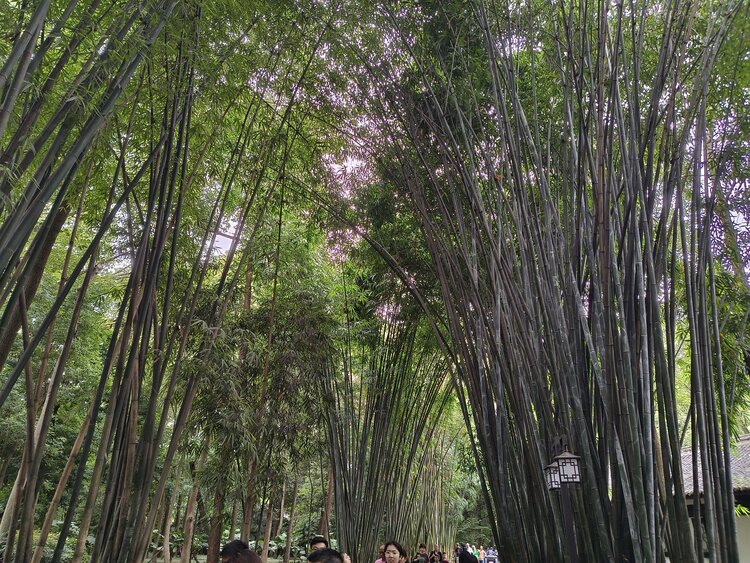 雪儿🎤V娱热点