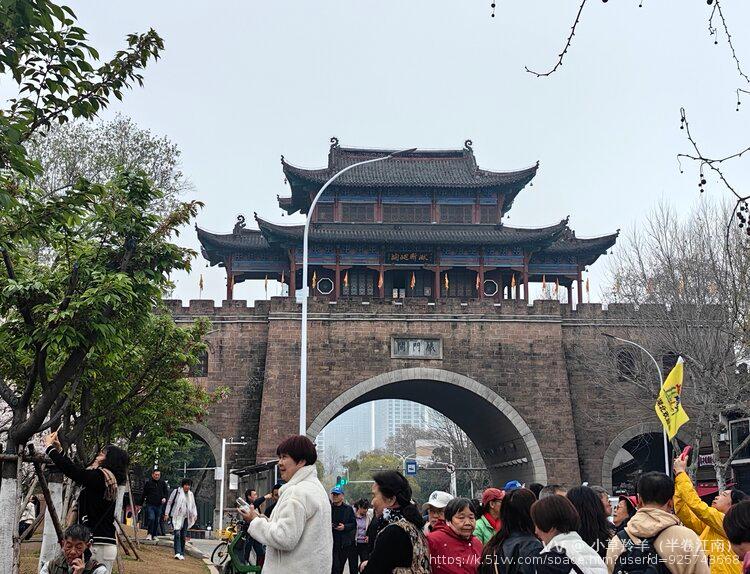 小草羚羊（半卷江南）