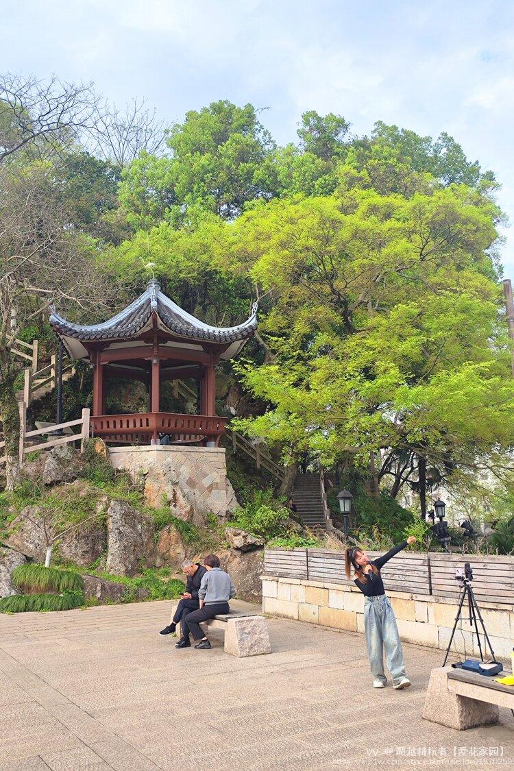 甌越耕耘者【爱花家园】