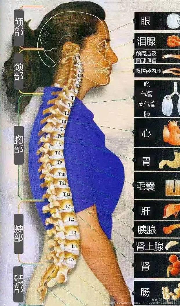 萧锋中醫