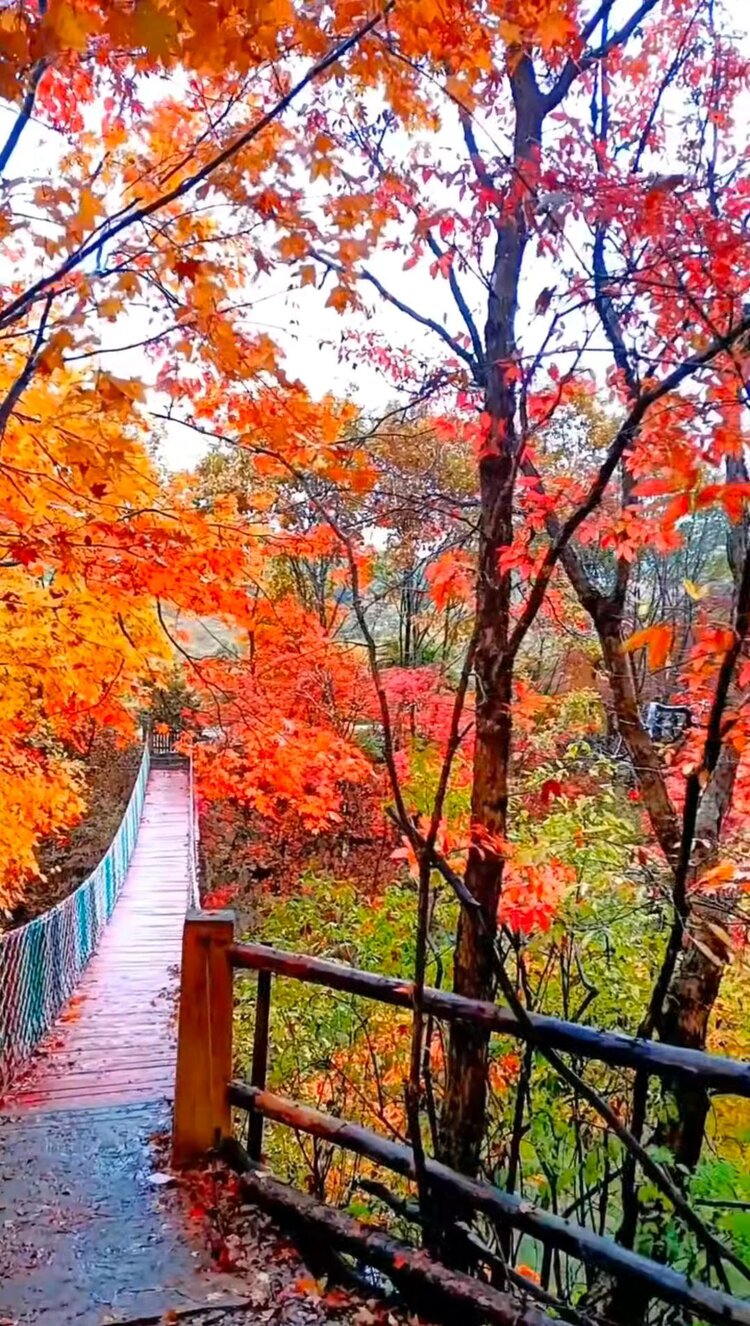 雪儿🎤V娱热点