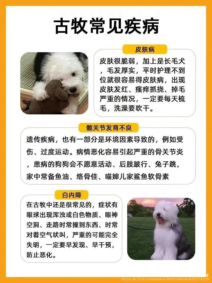 💫️压馨韵💫❦好ོ运ོ❦