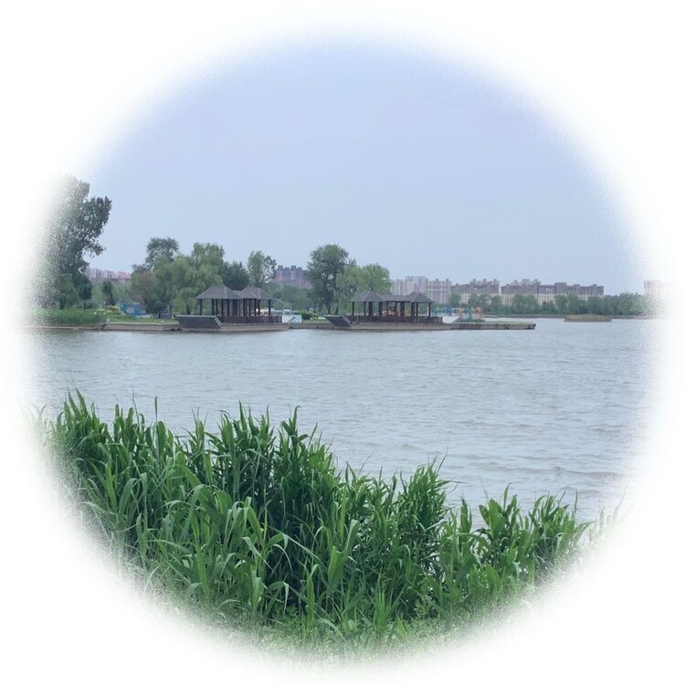 青士李振汉