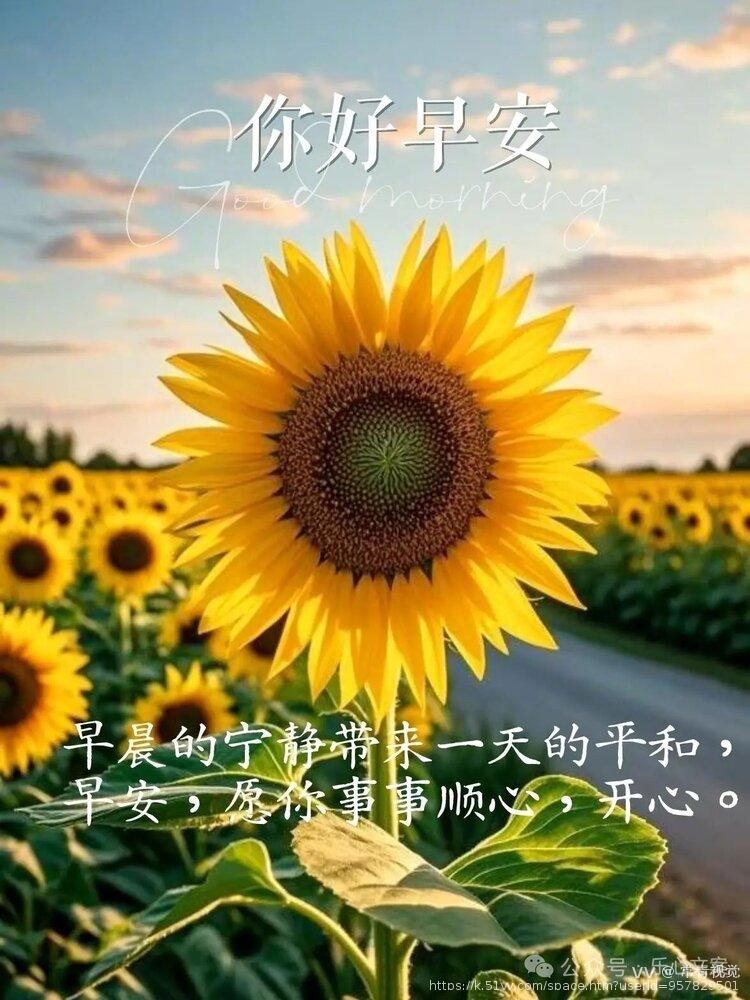 常青视觉
