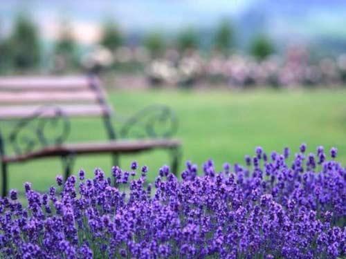 雪儿🎤V娱热点