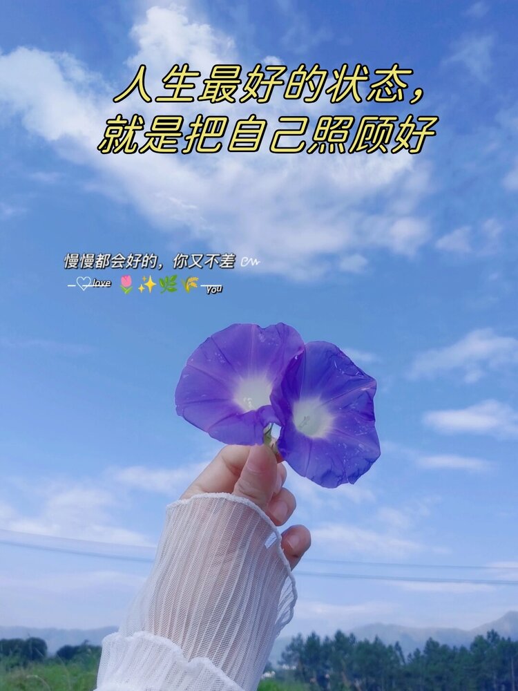 兰草