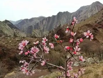 银川市诗词学会