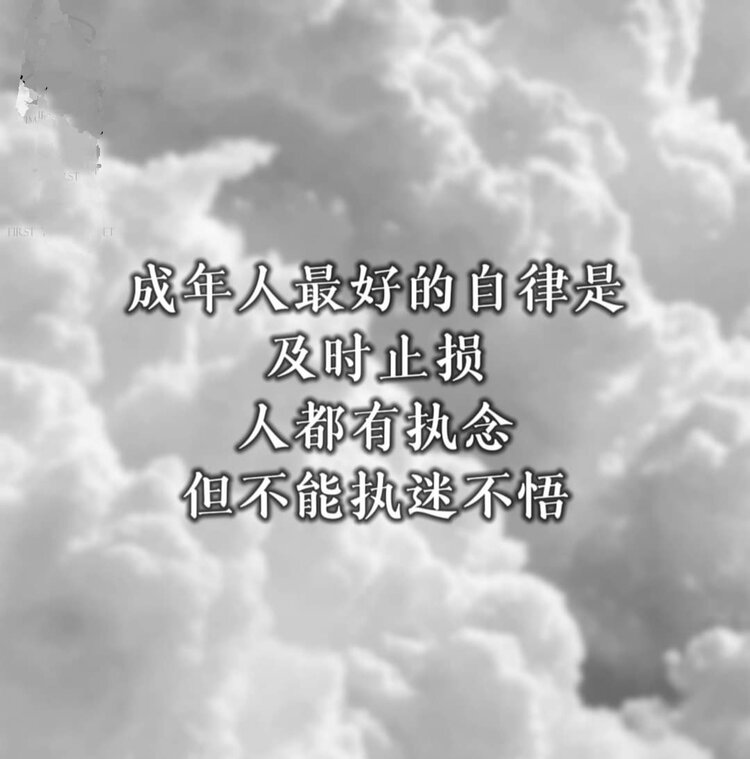 小山丽95XsL