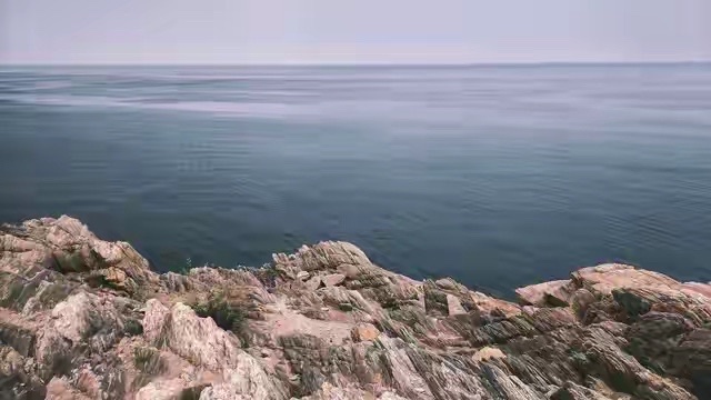 靖轩