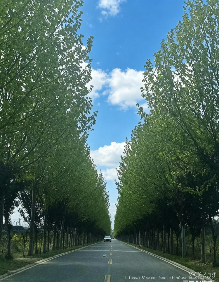 大海洋