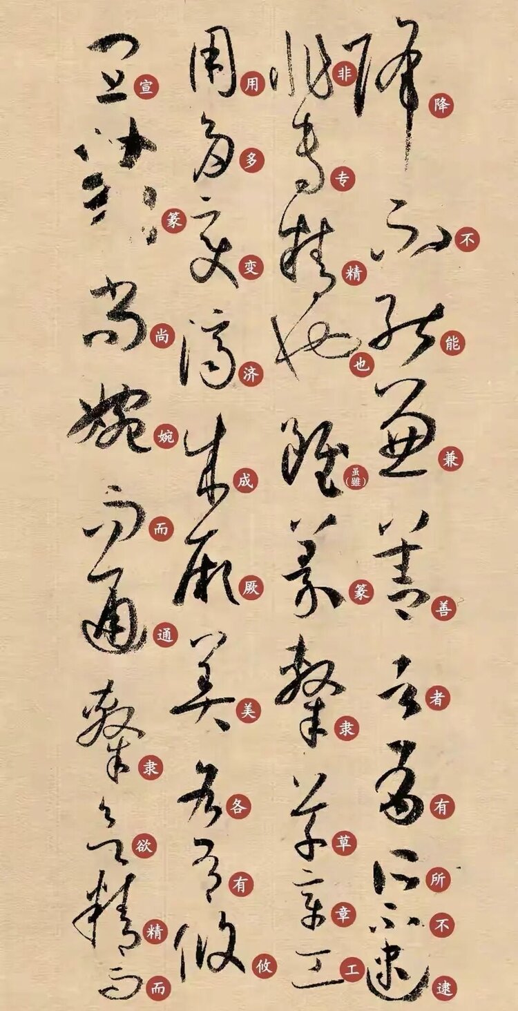 陈仁良【文声汇影】