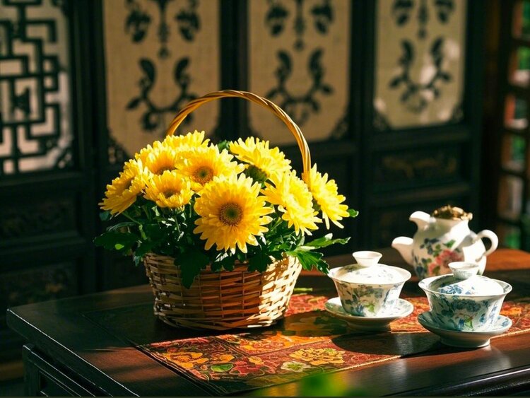 雪儿🎤V娱热点