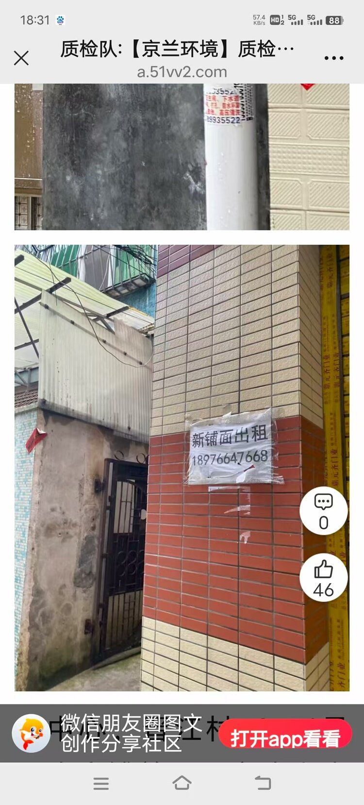 杨清微