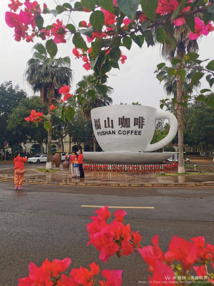 垂柳（美摄视界）