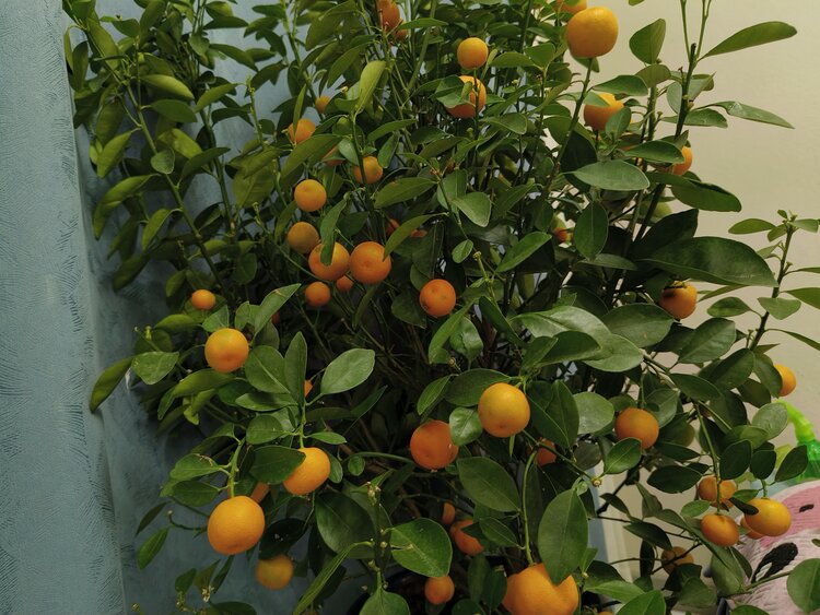 雪儿🎤V娱热点