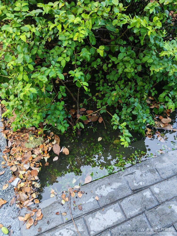 纳兰＿🎤V娱热点