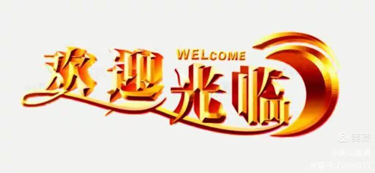 VⅤ深山老林