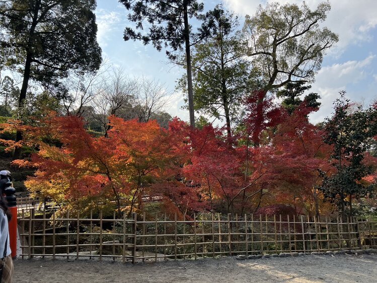 雪儿🎤V娱热点