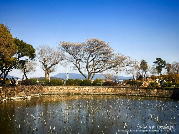 青青【美摄视界】