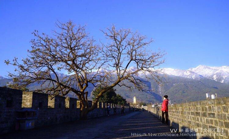 喜婆婆【文声汇影】