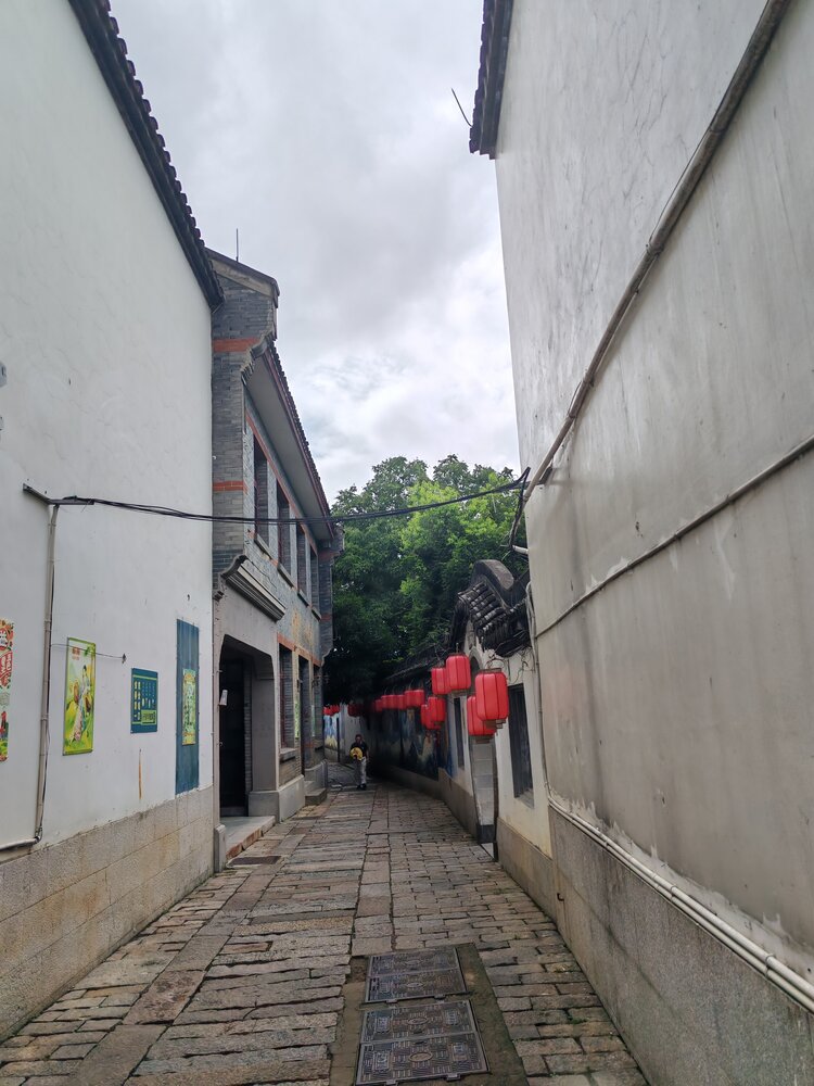 荆涂桃李