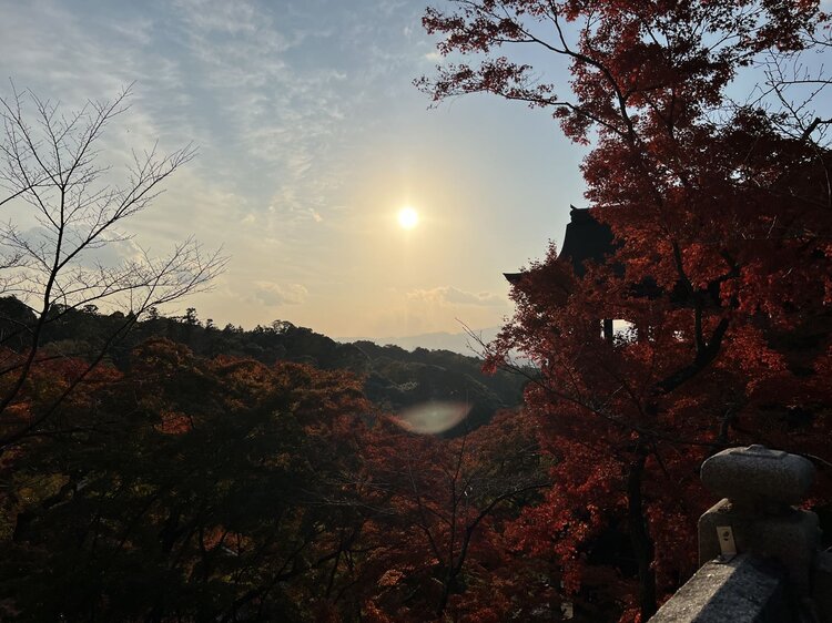 雪儿🎤V娱热点