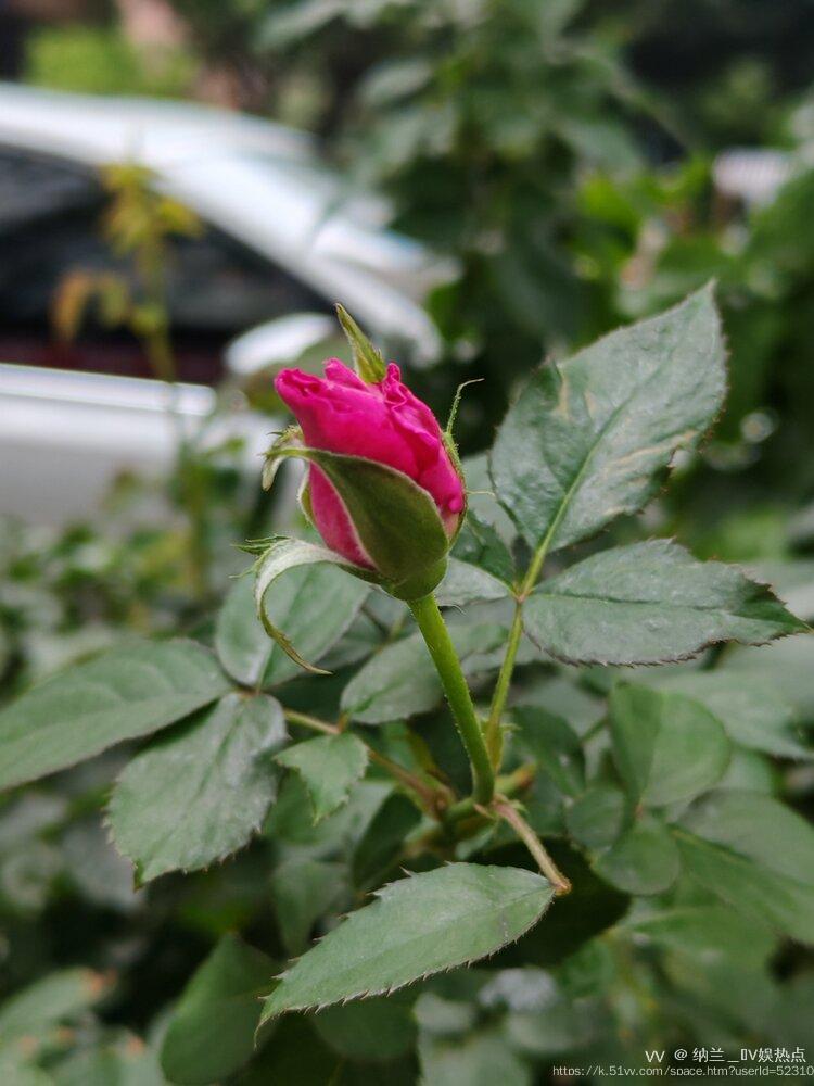 纳兰＿🎤V娱热点