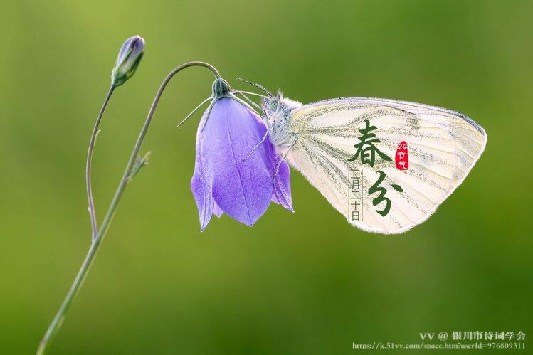 银川市诗词学会