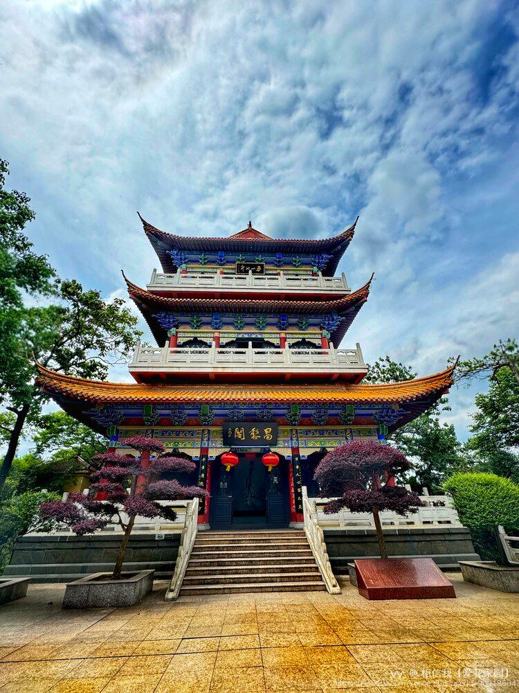 相信我【爱花家园】