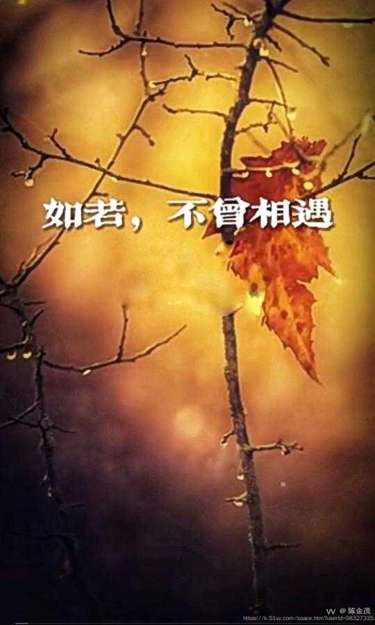 陈金茂