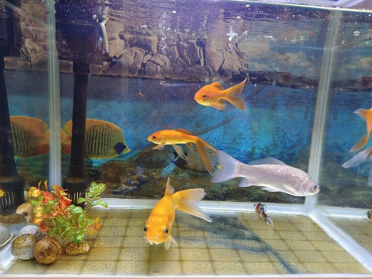 雪儿🎤V娱热点