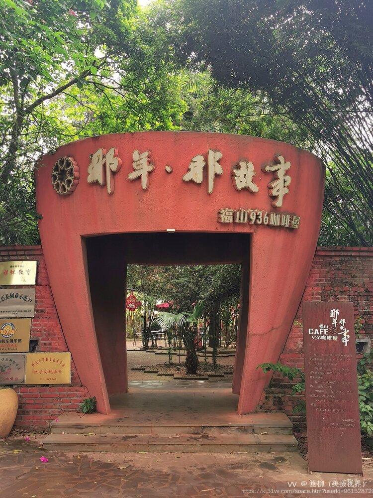 垂柳（美摄视界）