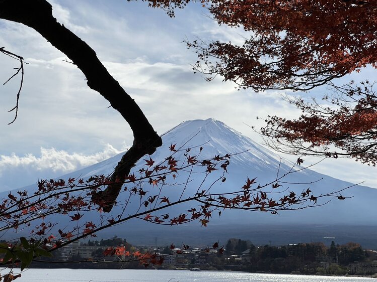 雪儿🎤V娱热点