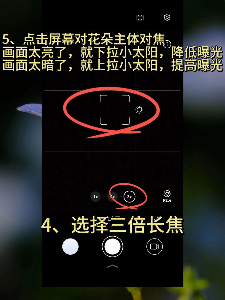 💫压馨韵💫天使