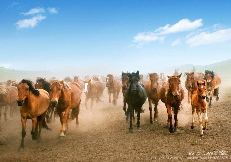 ℒℴѵℯ亮亮ꦿ໊ོ °