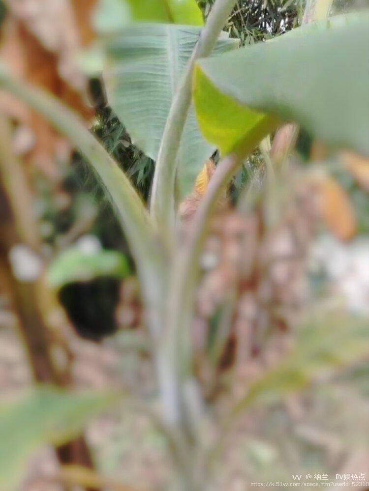 纳兰＿🎤V娱热点