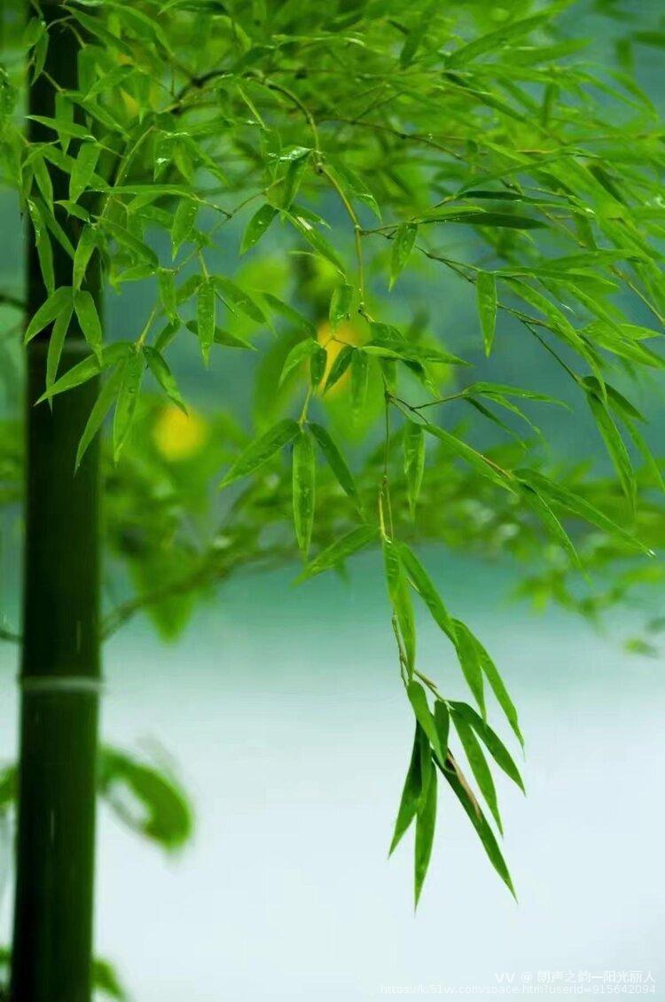 朗声之韵—阳光丽人