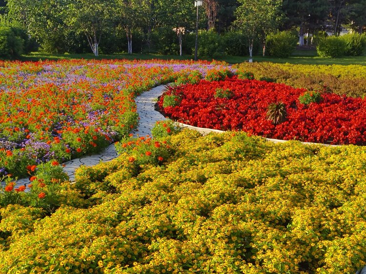 雪儿🎤V娱热点