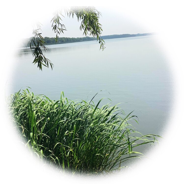 青士李振汉