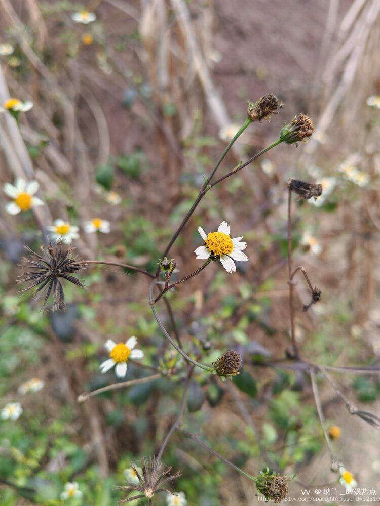 纳兰＿🎤V娱热点