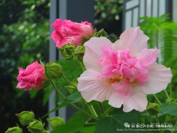 秦之声彩虹（舞师小号）