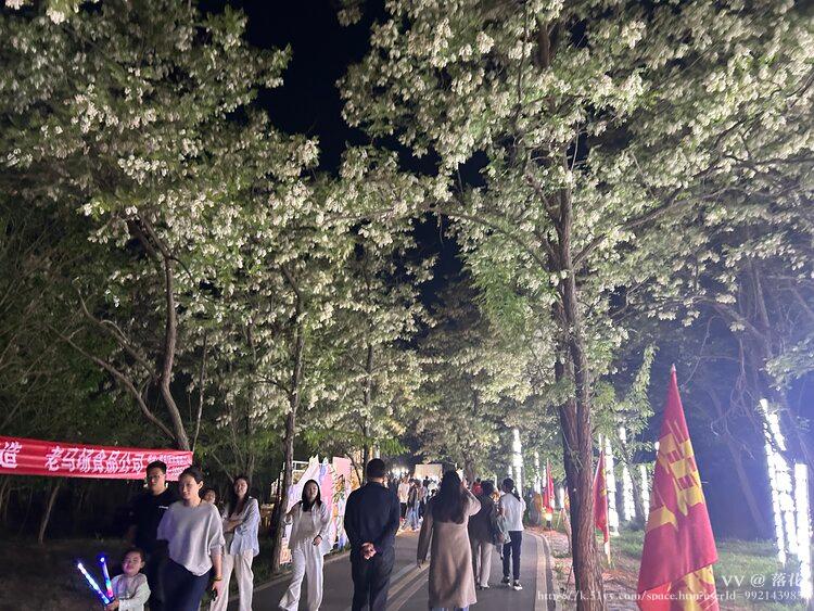 落花